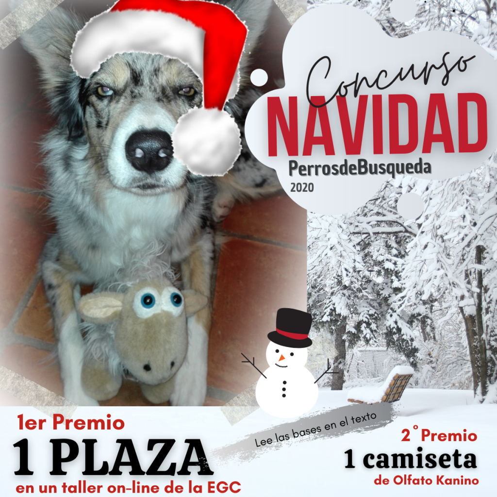 Concurso Navideño PdB