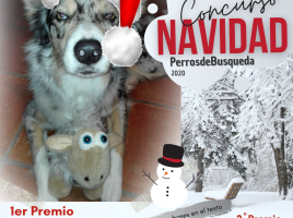 Concurso Navidad PdB