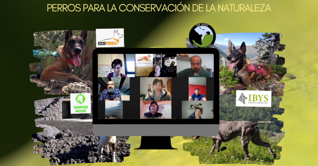 perros para la conservación