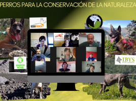 perros para la conservación