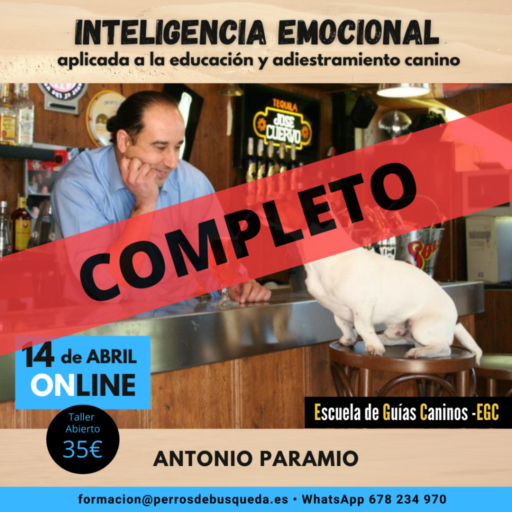 Taller Inteligencia Emocional