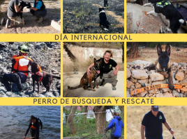 Día Internacional del Perro de Rescate 2021