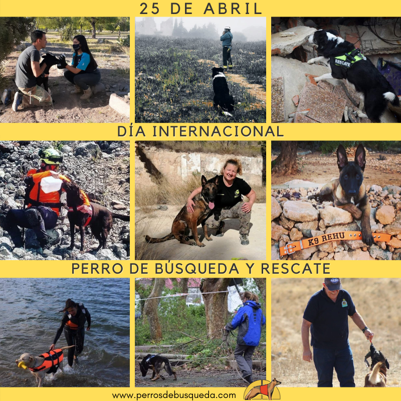 Día Internacional del Perro de Rescate 2021