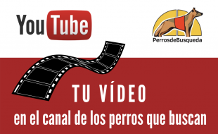 tu vídeo en Youtube