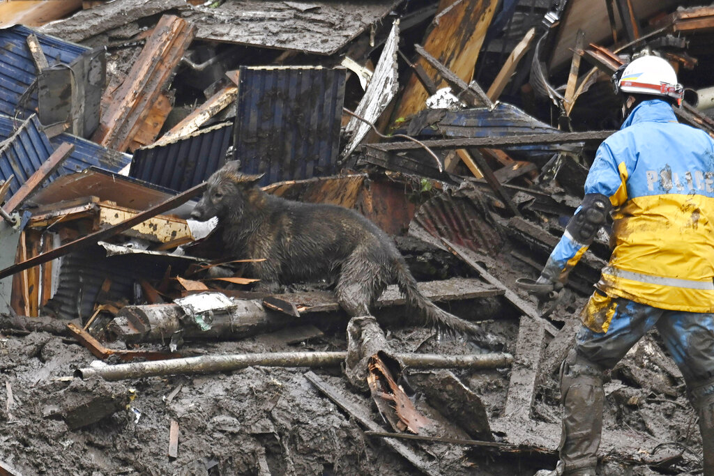 Perros de búsqueda en el deslizamiento de tierra en Atami