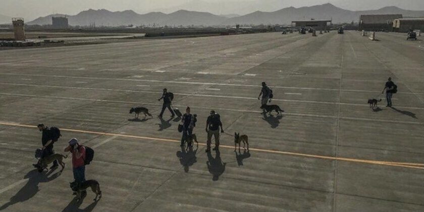 Equipos caninos evacuados de Afganistán