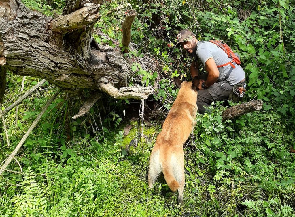 perros para la conservación