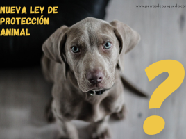 nueva Ley de Protección Animal