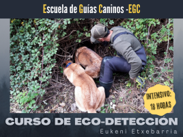 curso ecodeteccion