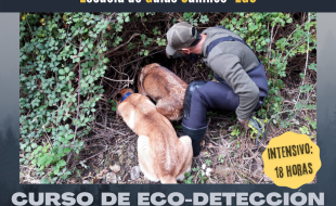 curso ecodeteccion