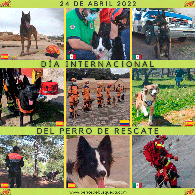 Dia Internacional del perro de rescate