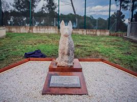 homenaje a las unidades caninas