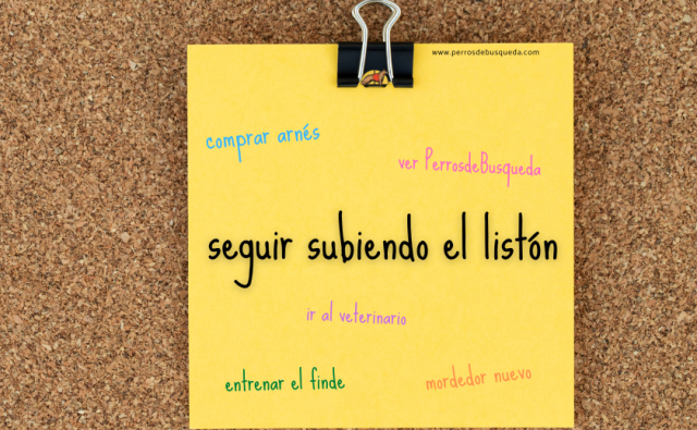 Subir el listón