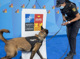 cumbre de la OTAN