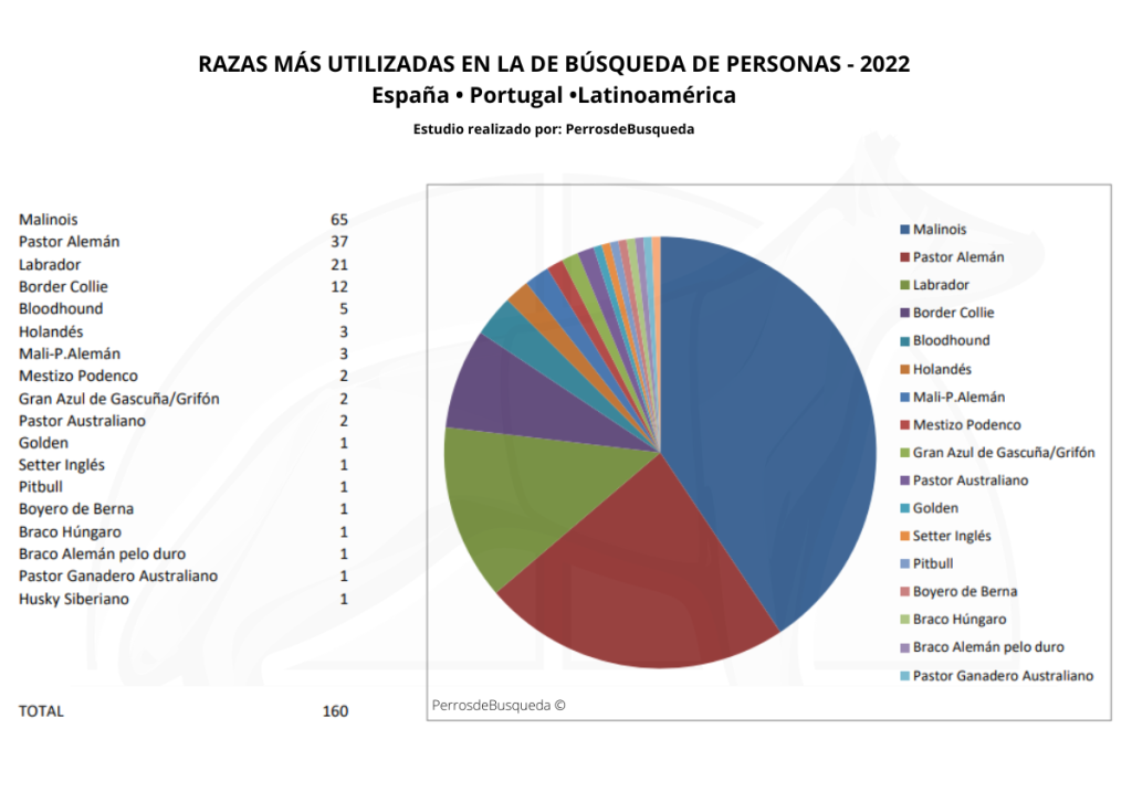 razas preferidas