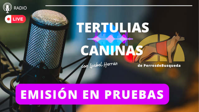 la radio de los perros