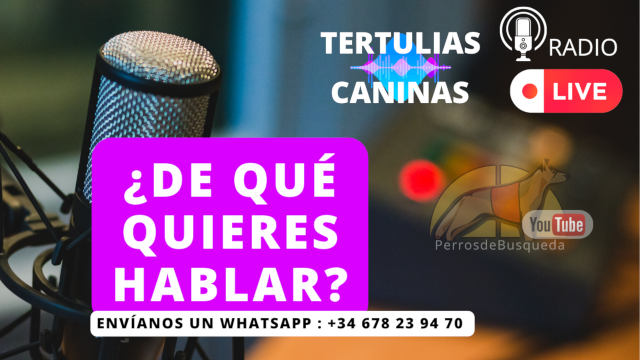 La radio de los perros