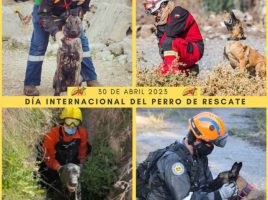 Día Internacional del Perro de Rescate 2023