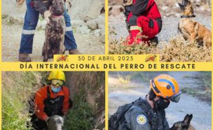 Día Internacional del Perro de Rescate 2023