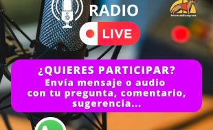 La radio de los perros