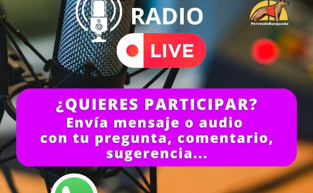La radio de los perros