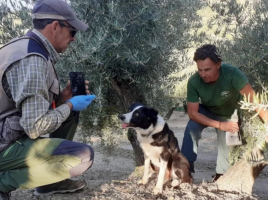 estrategia andaluza contra el veneno