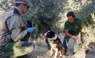 estrategia andaluza contra el veneno