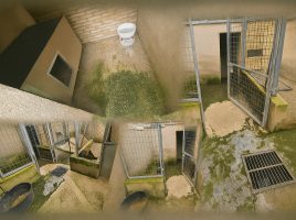 denuncia perros Guardia Civil