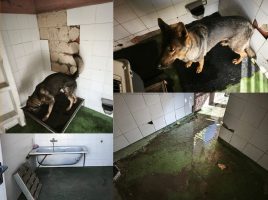 Guardia Civil Barajas