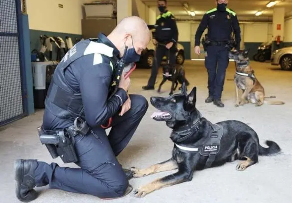 Policía Local Granollers