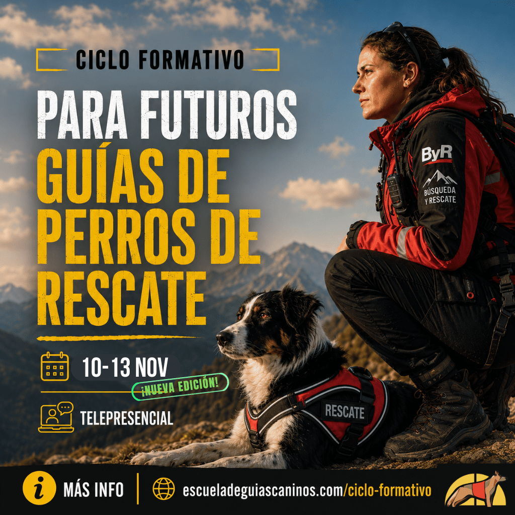 Ciclo formativo ByR